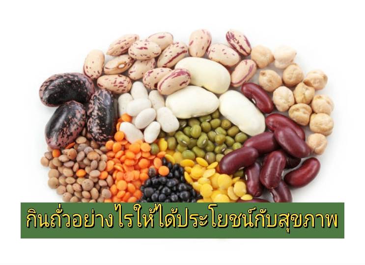 รูปภาพหน้าปก 063b406f-6835-49b1-b8ec-27b9b60e5646