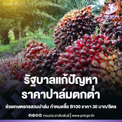 รูปภาพหน้าปก 33e3edb7-2e77-413c-980b-ce1558a69bbc