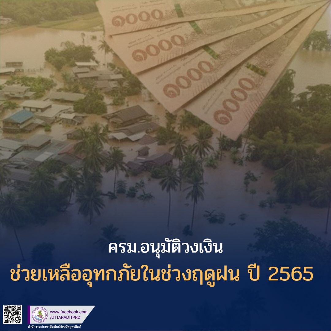 รูปภาพหน้าปก 0d42f406-8c35-487b-a87d-6ad0b713ae3e