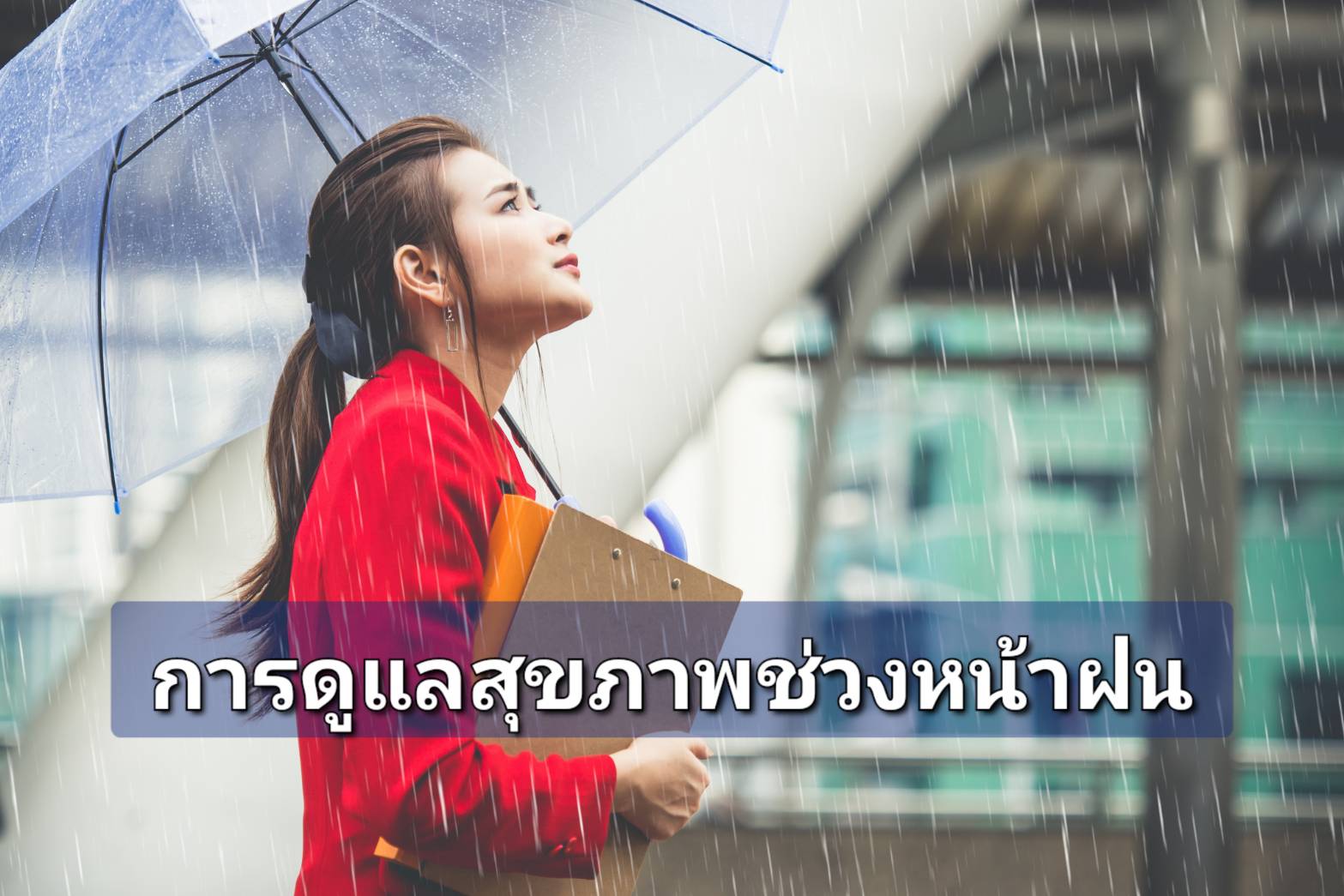 รูปภาพหน้าปก 1b832e8c-3673-4703-9f0d-40b736e42a21