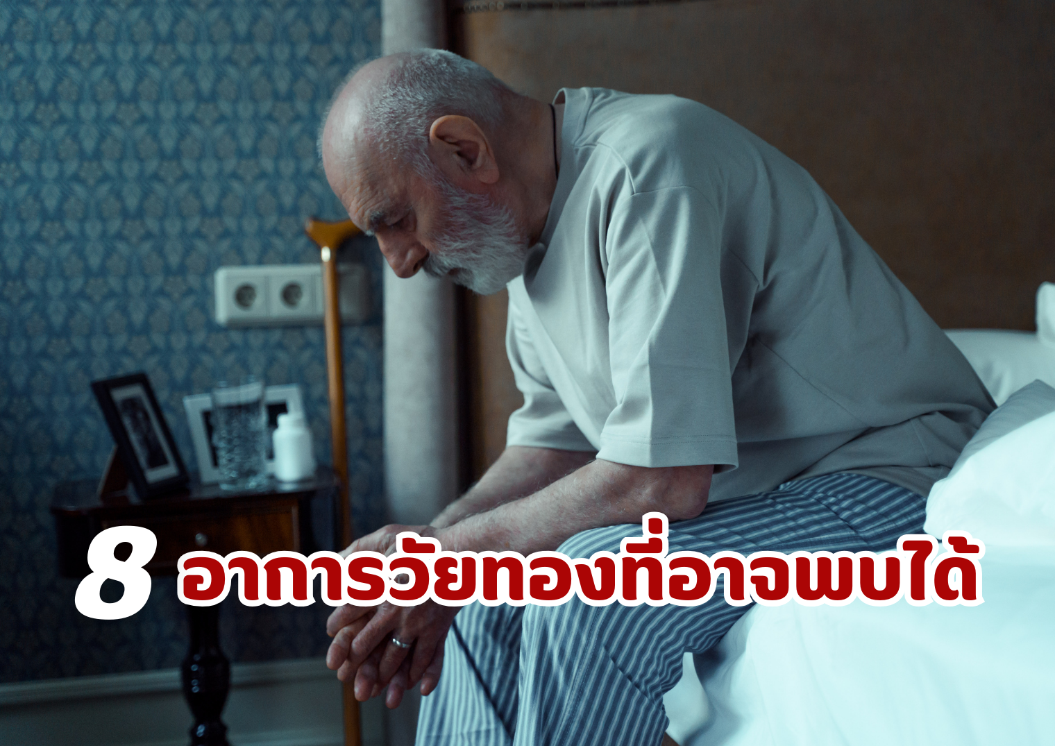 รูปภาพหน้าปก e137debe-6749-402e-be37-23e8debfa614