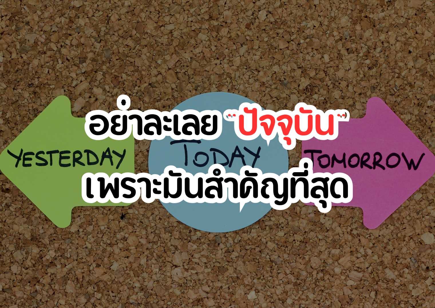รูปภาพหน้าปก 19e7d617-b4d4-4549-a745-36b031e30029
