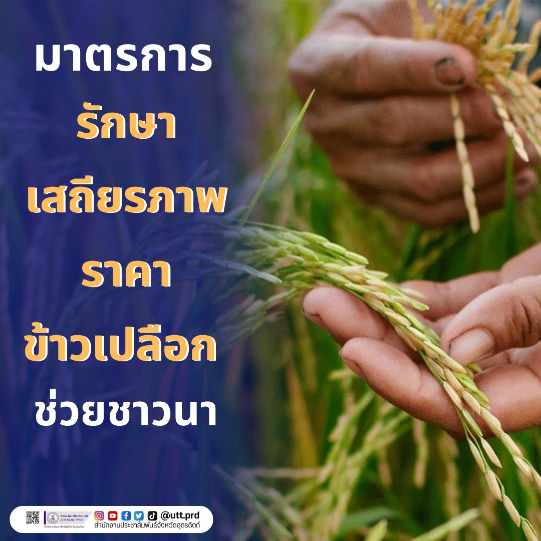 รูปภาพหน้าปก f52f729d-6ffb-4c6e-a087-7a52ffec78c7