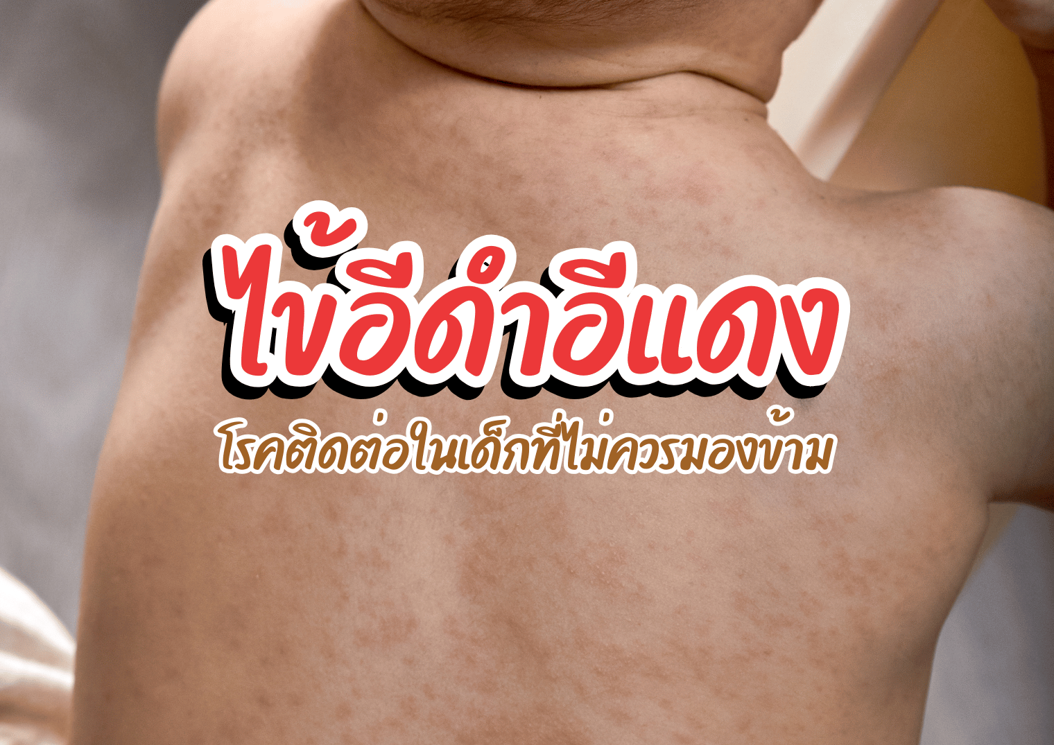 รูปภาพหน้าปก 1f7dab51-10c6-4ac6-9474-f3fbea99b986