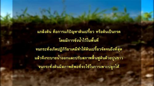 รูปภาพหน้าปก b372fd4c-ecbe-47be-bcff-b6d255324282