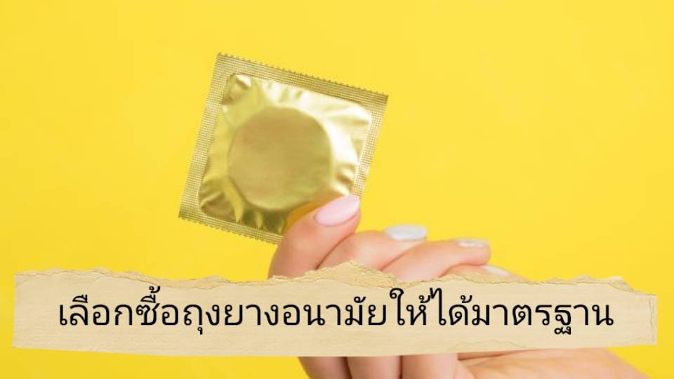 รูปภาพหน้าปก 32e885e3-faf2-463b-8a8e-886026ce89f3