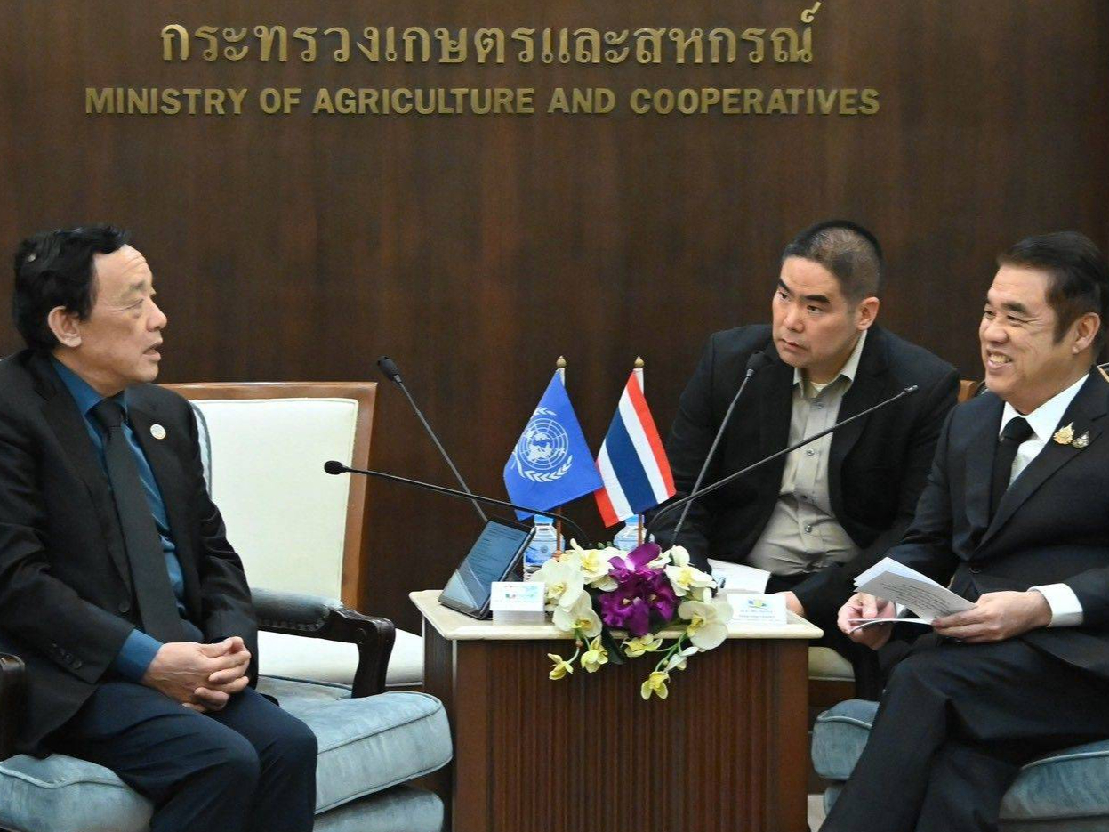 รูปภาพหน้าปก 35775f4b-3e9c-4b6f-80a2-cf1d61b56595