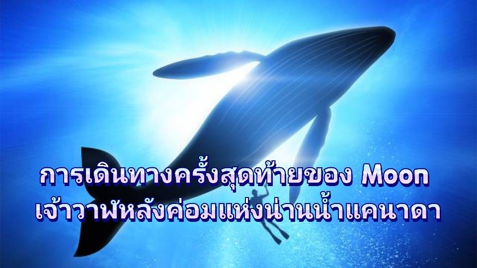 รูปภาพหน้าปก d7c1bfea-5249-420c-97fa-34262e8c37f8