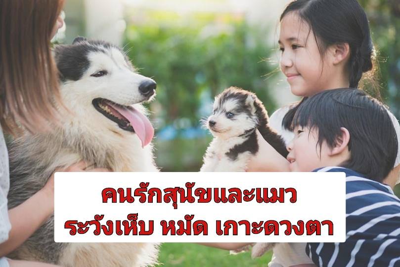 รูปภาพหน้าปก 108bd244-6659-48d2-833c-c51b258a590b