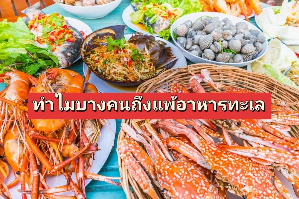 รูปภาพหน้าปก 91983575-8e75-4ecd-bc39-713d49384130