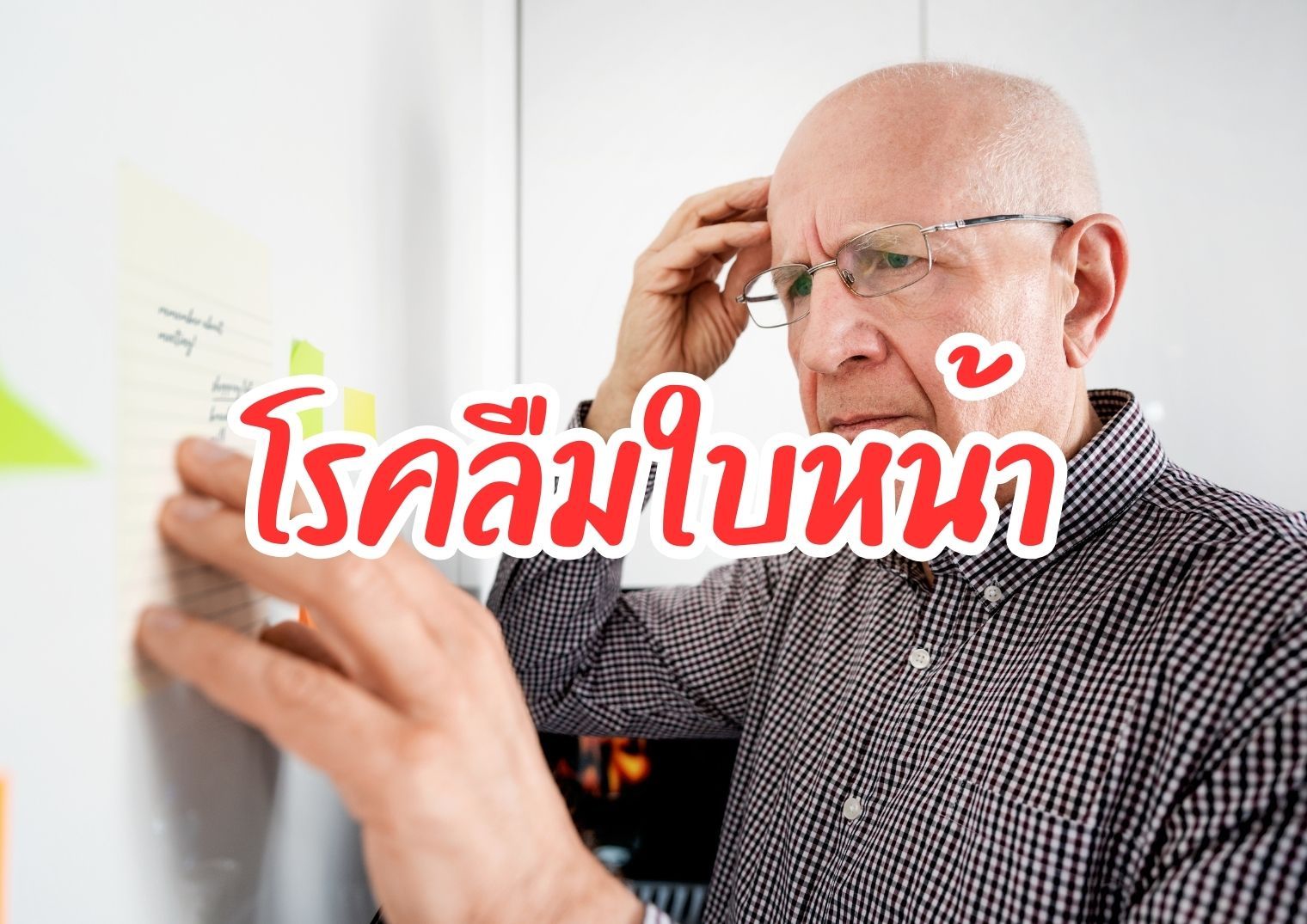 รูปภาพหน้าปก 011d0d25-3892-46e6-a35d-887fb1d11955