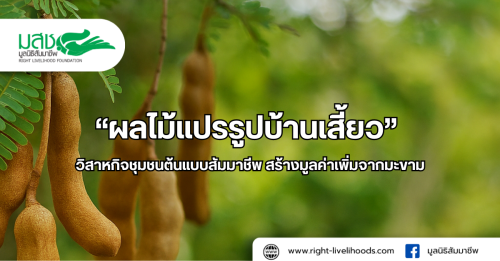 รูปภาพหน้าปก 03ff6af1-d5e9-4b15-9ce5-bd5b63db07d7