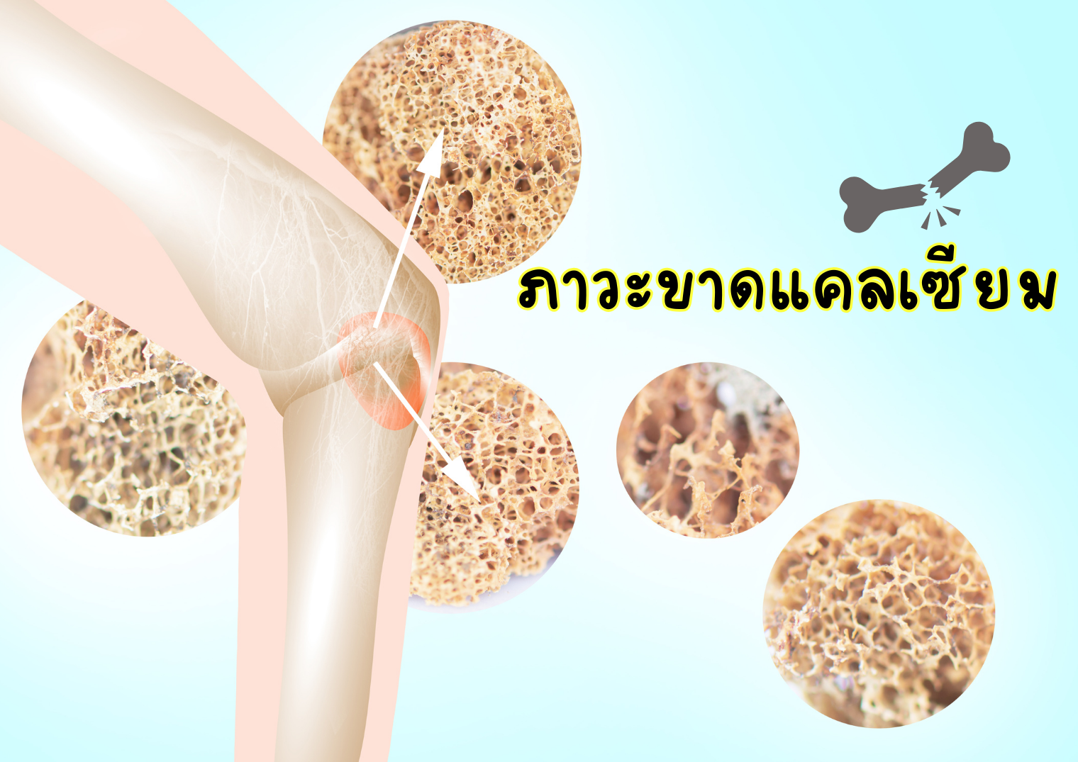 รูปภาพหน้าปก 3d2bb796-c173-4352-a270-62c985317224