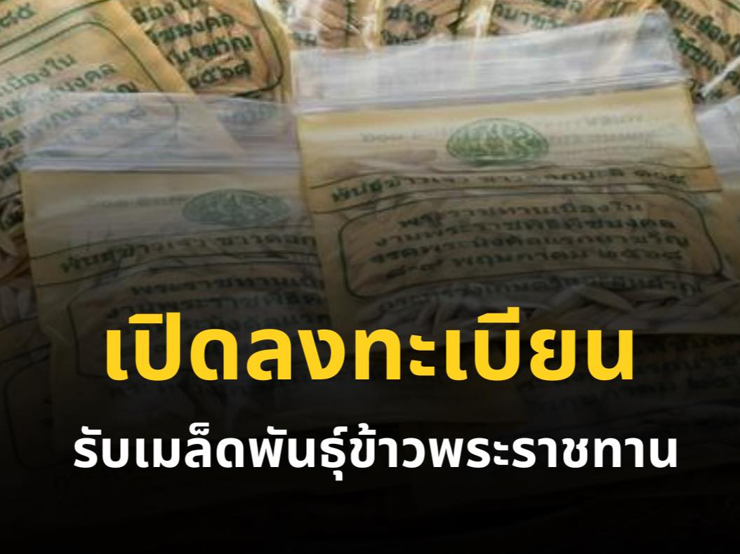 รูปภาพหน้าปก d86a448c-9ddd-41e8-b5fa-553efaa00118