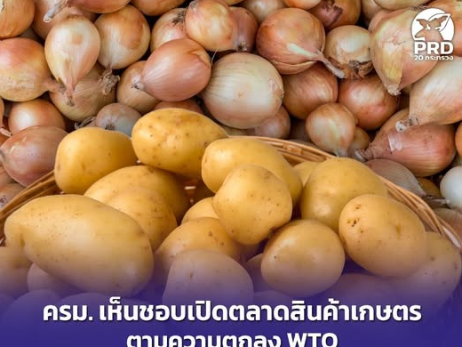 รูปภาพหน้าปก b4d7de85-075c-4540-ad0a-07c4c4e983dd