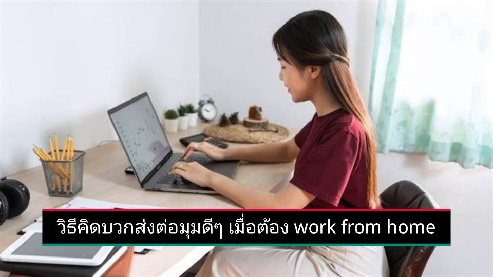 รูปภาพหน้าปก 05810dad-094a-4ef0-b51b-6e62fe1571a2