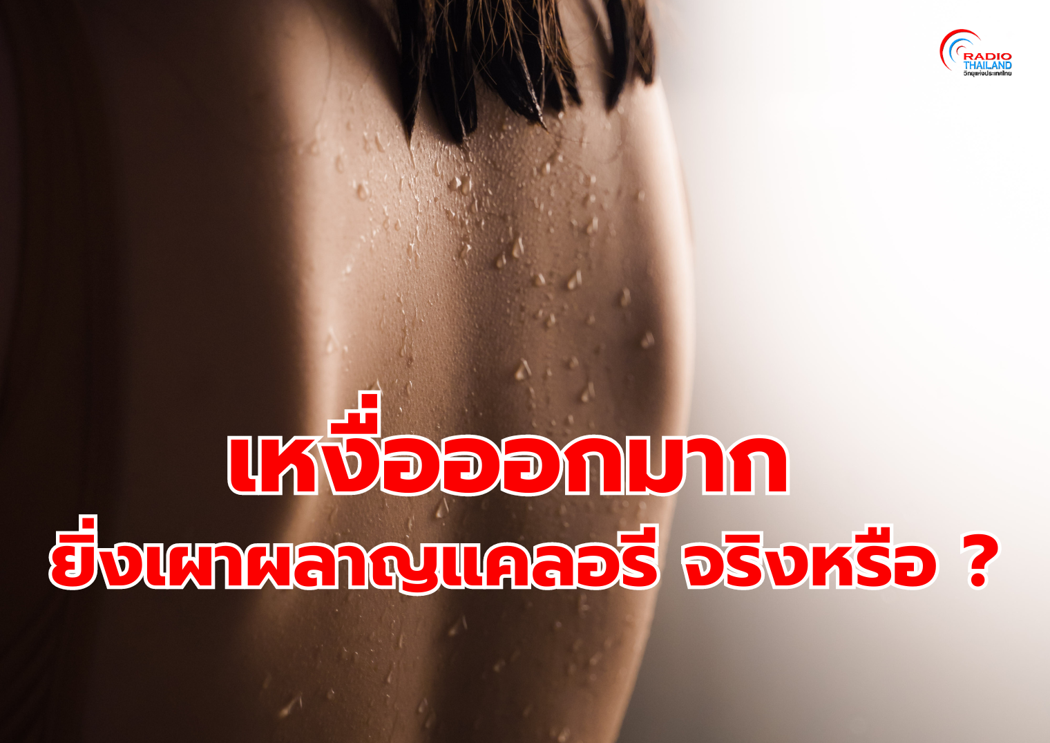 รูปภาพหน้าปก daf92d63-dfc6-4470-9610-7585559ae262