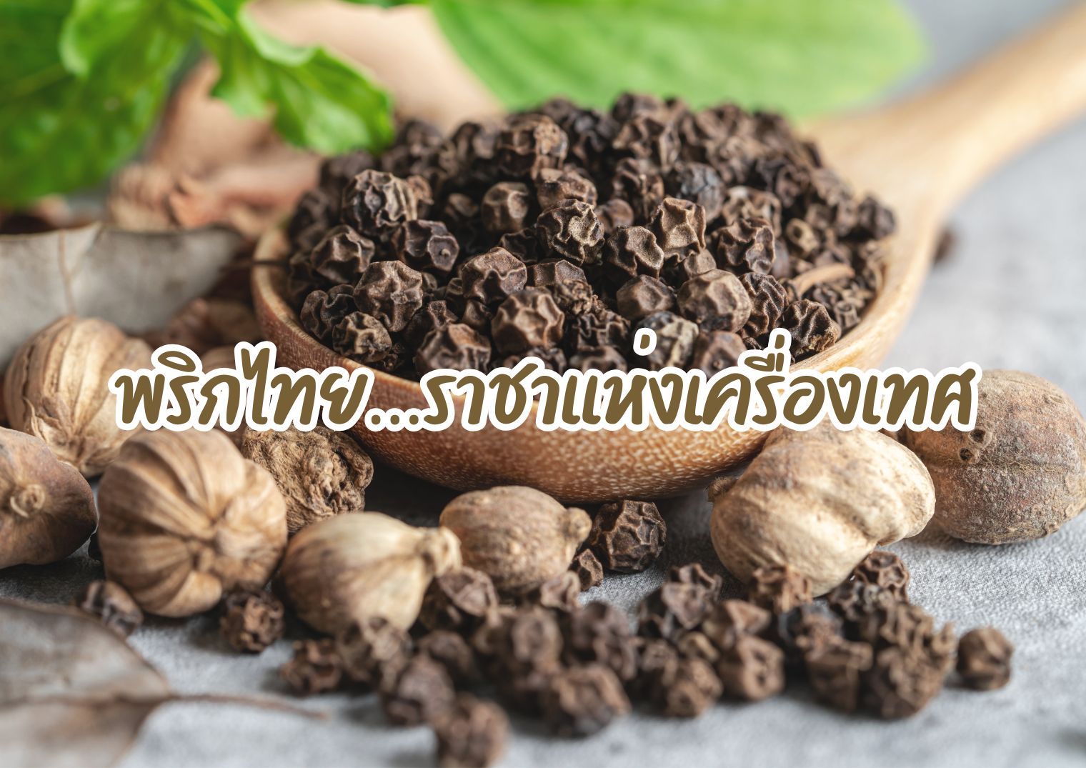 รูปภาพหน้าปก a3015d21-6205-457b-8796-ecb46ea70f14