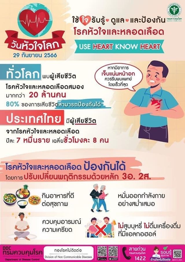 รูปภาพหน้าปก 1e04ddee-081a-4ca6-9dca-21f9405d0330