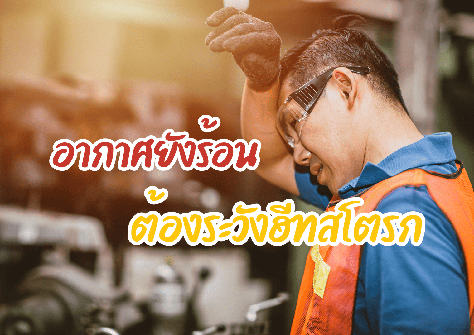 รูปภาพหน้าปก a36f97b9-8fe6-4f95-93b7-64cc946ce0d8