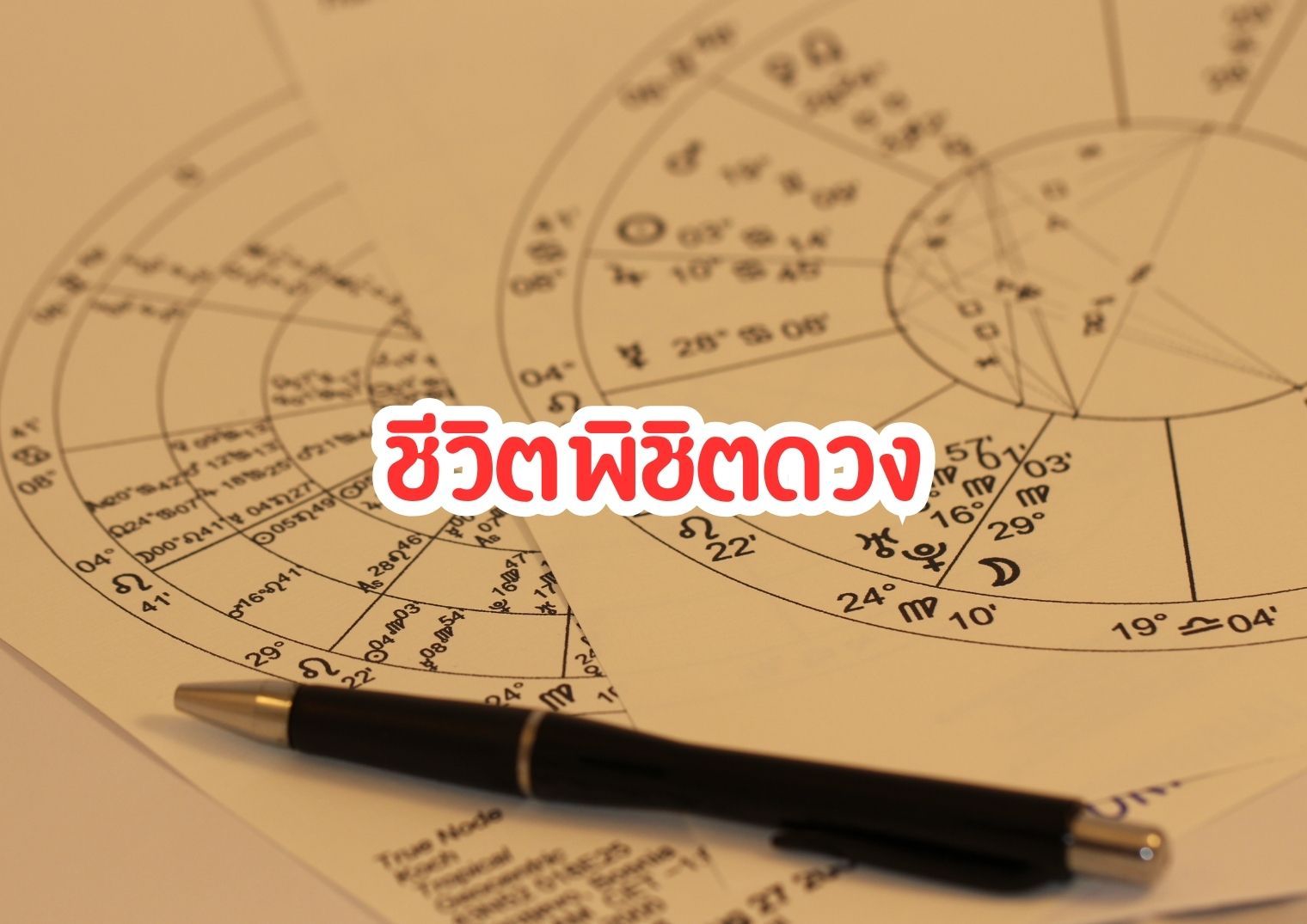 รูปภาพหน้าปก 7bc5e961-37c2-4ff9-9212-d76fc6e91487