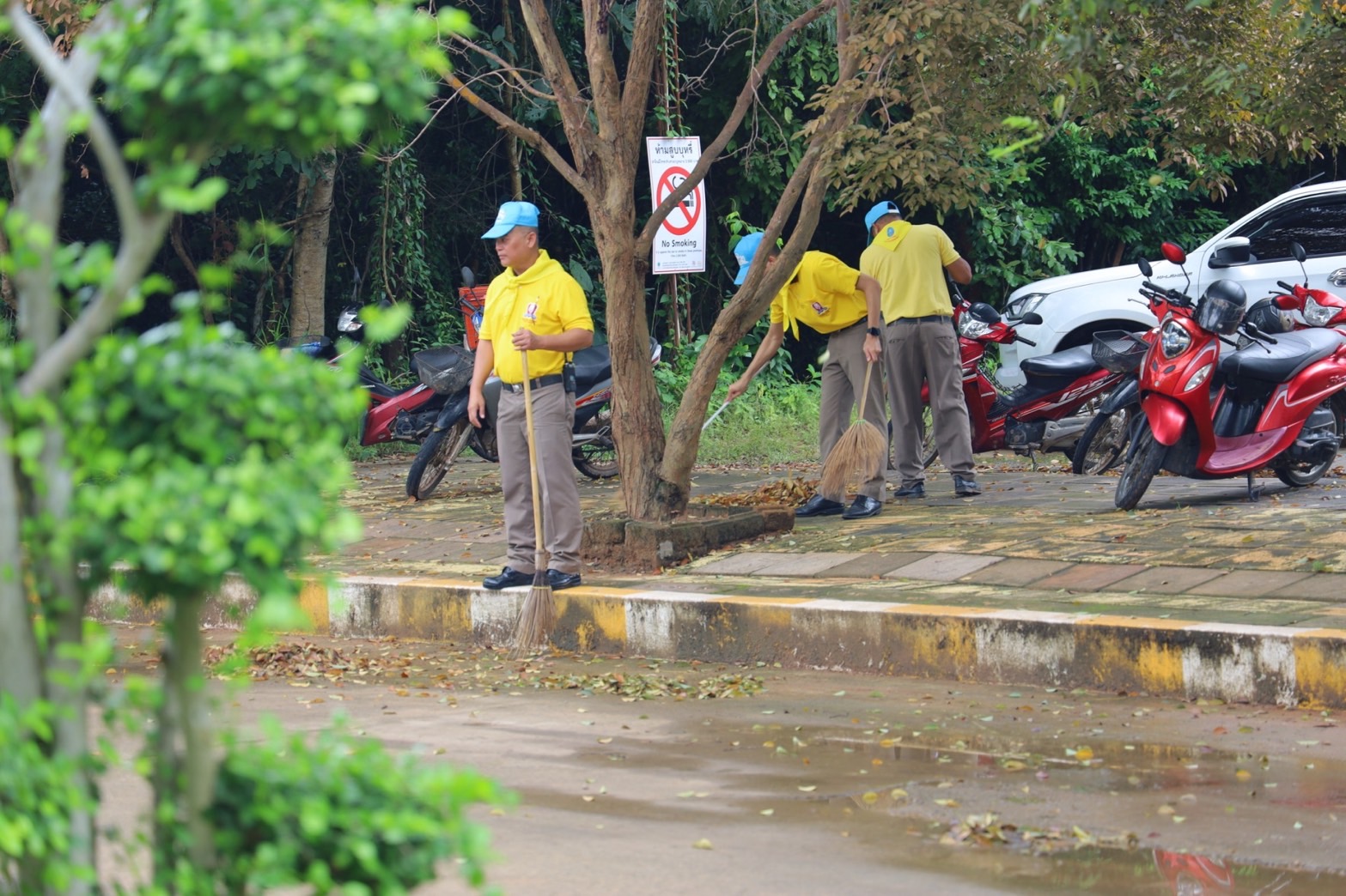 รูปภาพหน้าปก b8d7754f-ad63-4475-bee0-ffec623c13ee