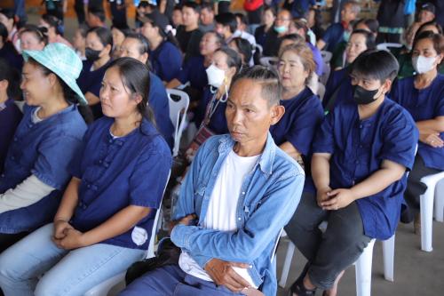 รูปภาพหน้าปก 6b716da9-4fa7-48d7-8c47-7f24122a34e1