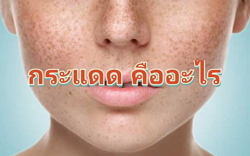 รูปภาพหน้าปก 58b1191f-5689-487a-8d54-e48e7c184c64
