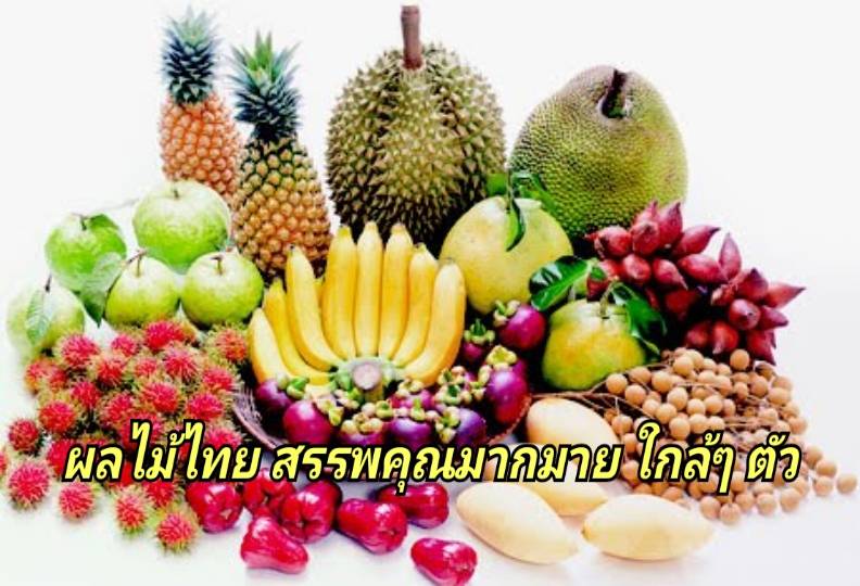 รูปภาพหน้าปก b61c101b-946f-4e7e-a59f-cd944c07cc48