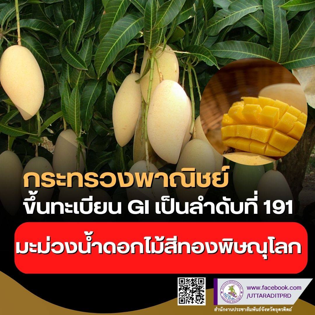 รูปภาพหน้าปก 9fc2ee74-0d35-4ed5-8b31-197997c85b30