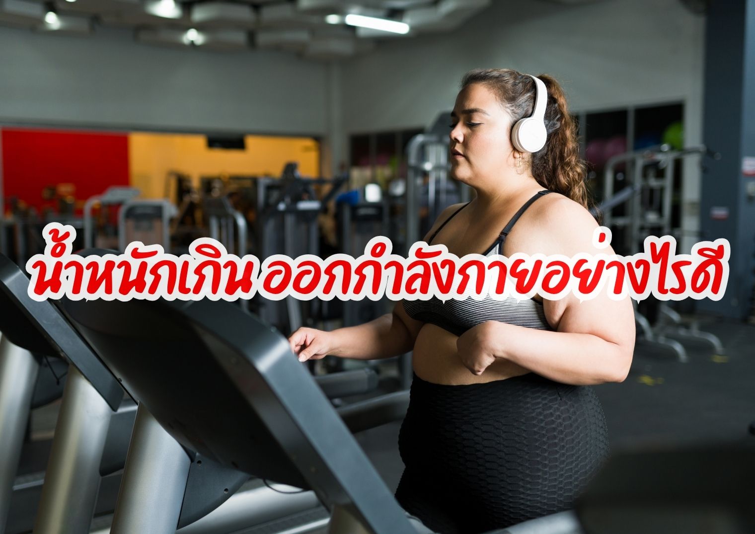 รูปภาพหน้าปก 29b46c8b-8a28-4279-946f-198f6c10c206