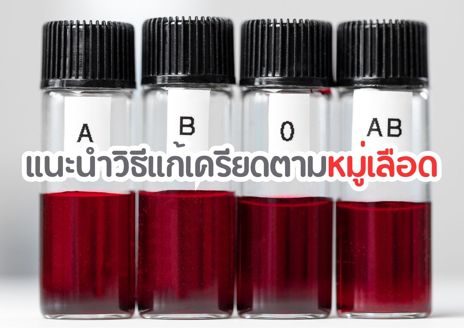 รูปภาพหน้าปก eaca09f4-6855-474b-b1c3-36739d4bd727