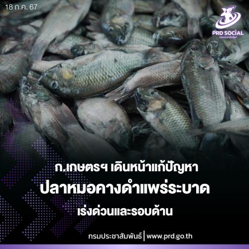รูปภาพหน้าปก caea08d9-faf7-4887-9704-d25bfcc059b4