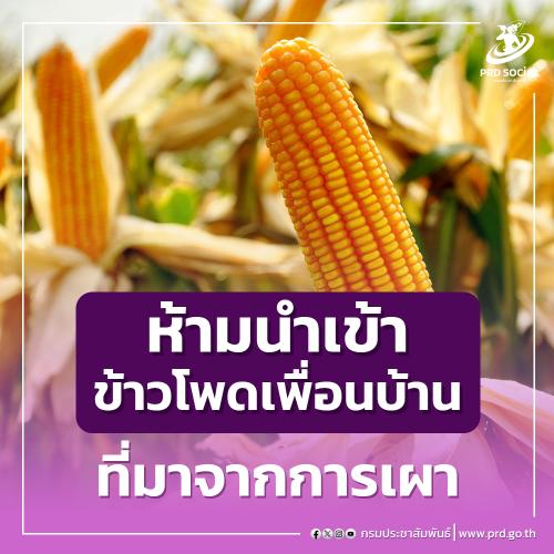 รูปภาพหน้าปก af36543e-58f0-4ada-8818-475710436cba