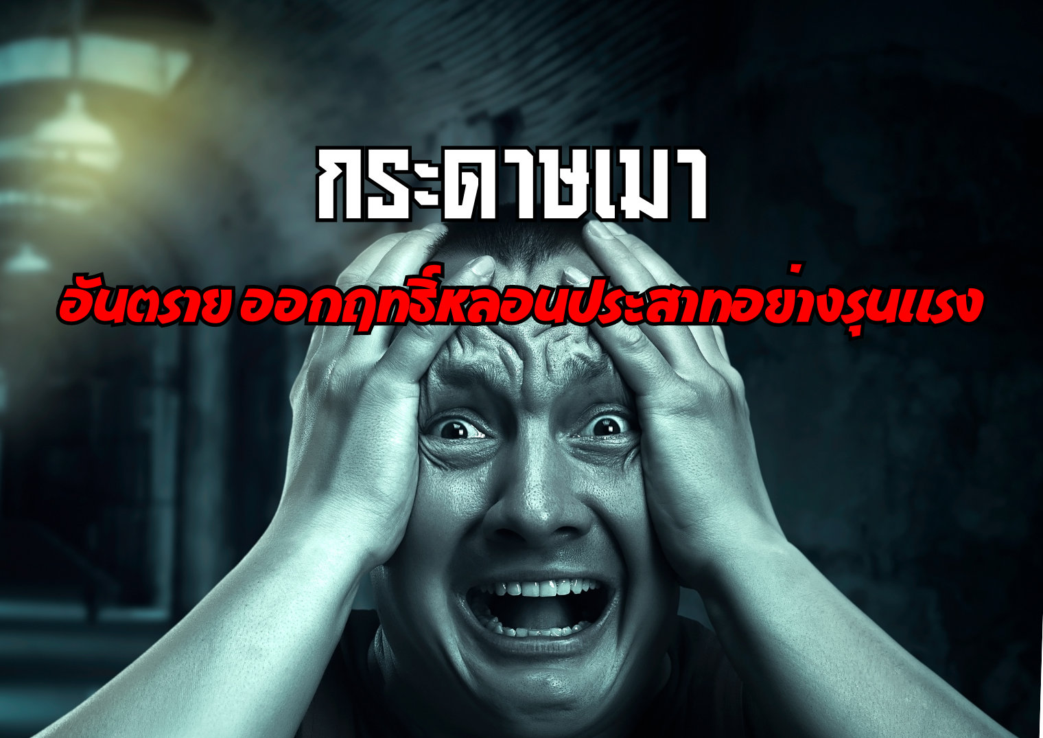 รูปภาพหน้าปก 2e9561b6-ab19-4132-9cc9-115770c11b26