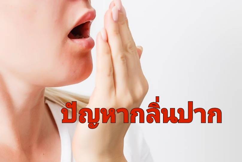 รูปภาพหน้าปก df81b997-eb40-40ea-9a51-8f69cd789c09