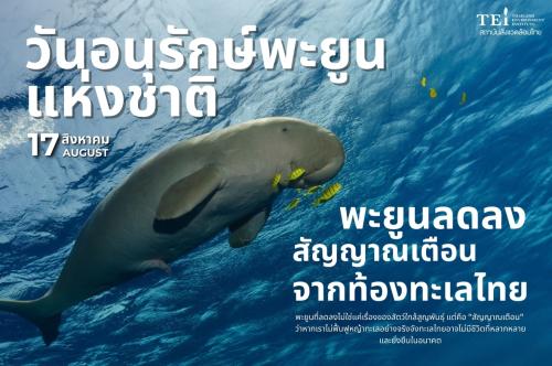 รูปภาพหน้าปก d858628a-fb39-428a-83e5-3490b3a42473