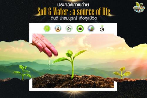 รูปภาพหน้าปก a3266c49-a8be-4d25-83c9-c0d96d478672