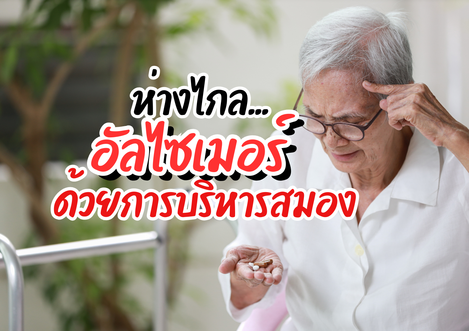 รูปภาพหน้าปก 184f4796-641c-482e-9853-ce44cb26fb1a