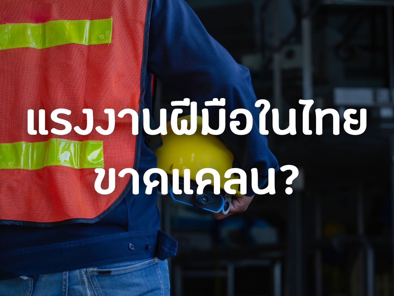 รูปภาพหน้าปก 378c9c4c-265a-48e3-96c6-5e27346628d4
