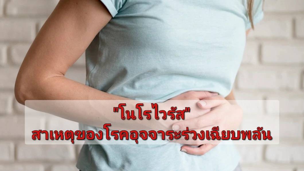 รูปภาพหน้าปก 534ec53c-7d70-40ae-a70d-68ea58d9cf84