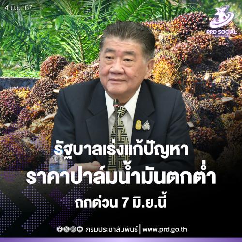 รูปภาพหน้าปก 11090884-df7f-429e-9830-f5a2f54a8d01