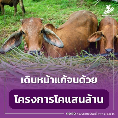 รูปภาพหน้าปก 7efb0a75-de65-455c-a040-db9033eb02ac