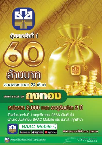 รูปภาพหน้าปก f1f16d01-fd8e-415c-8d5c-2ccbd31f37fd