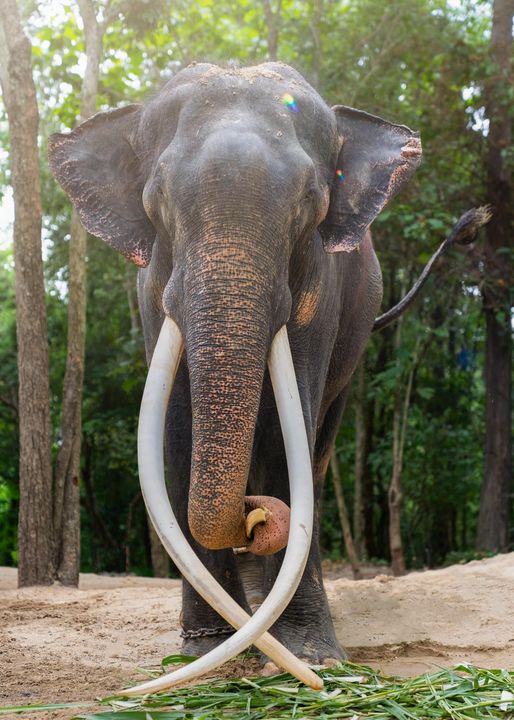รูปภาพหน้าปก 17748ad4-70b9-40d7-b95b-1c23014ec781