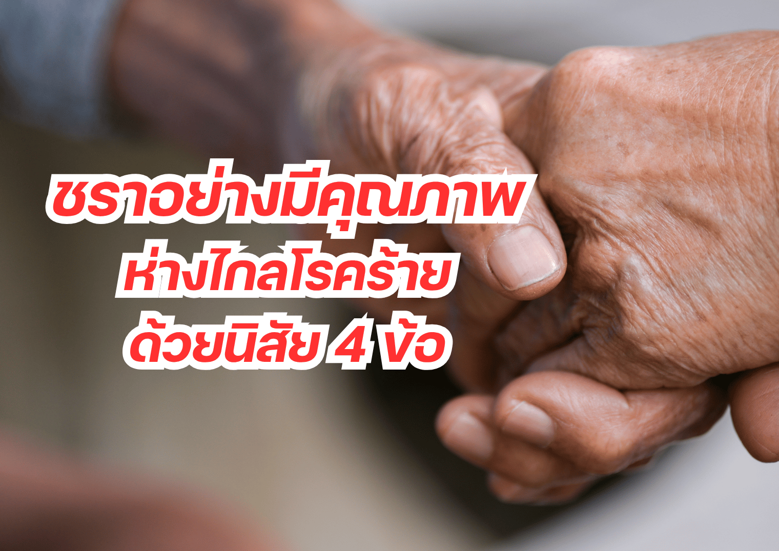 รูปภาพหน้าปก 0373ced1-e522-4e4a-a46d-b20656603008
